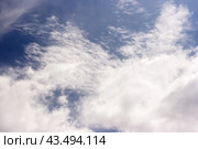 White spindrift clouds on blue sky, background. Стоковое фото, фотограф Радомир Тарасов / Фотобанк Лори