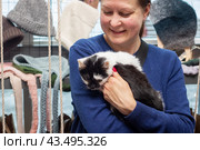 Belarus, Minsk - 17 december, 2023: Woman holding a kitten. Редакционное фото, фотограф Аксенова Вера / Фотобанк Лори