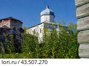 Кийский Крестный монастырь. Церковь Происхождения честных древ Креста Господня. Архангельская область, Кий-остров, лето (2022 год). Стоковое фото, фотограф Николай Гернет / Фотобанк Лори
