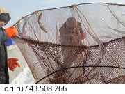 Подледный лов рыбы в Обской губе на Ямале (2018 год). Редакционное фото, фотограф Николай Гернет / Фотобанк Лори