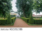 View to the Monplaisir Palace of Peterhof, Saint-Petersburg (2024 год). Редакционное фото, фотограф Евгений Харитонов / Фотобанк Лори