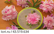 Video of circular composition with blooming fresh pink peonies around handmade peony flower embroidery with satin ribbons on wooden background. DIY concept, summer needlework. Стоковое видео, видеограф Виктория Катьянова / Фотобанк Лори