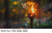 Burning torch: symbol of victory and light. Стоковое AI-видео, аниматор Юрий Поздников / Фотобанк Лори