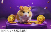 Cartoon hamster on purple platform with Bitcoin coins on Vibrant Pink and Blue Background. Hamster kombat game on cryptocurrency mining, concept of mini games on cryptocurrency earning. Стоковое AI-видео, аниматор Терехова Марина / Фотобанк Лори
