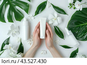 Women's hands are holding an unnamed white tube of cosmetics in their palms. White background with tropical leaves. Стоковое AI-изображение, AI-художник Ярославский Максим / Фотобанк Лори