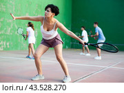 Sportive woman in shorts and t-shirt playing frontenis on court. Стоковое фото, фотограф Яков Филимонов / Фотобанк Лори