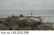 A lonely seabird sits on rocks near the ocean shore. Stormy evening clouds are in the background. Maldives. Стоковое видео, видеограф Aleksey Kidisyuk / Фотобанк Лори
