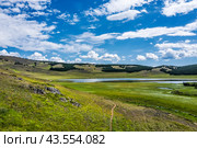The surroundings of Lake Dzhangyskol. The Altai Republic. Стоковое фото, фотограф Евгений Мухортов / Фотобанк Лори