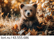 A cute little bear cub sitting among the autumn yellow foliage. Animal hunting. Poaching. Стоковое AI-изображение, AI-художник Photojuli / Фотобанк Лори