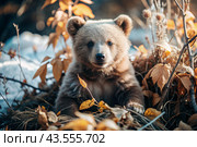 A cute little bear cub sitting among the autumn yellow foliage. Animal hunting. Poaching. Стоковое AI-изображение, AI-художник Photojuli / Фотобанк Лори