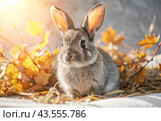 A cute gray bunny sitting among the autumn foliage. Animal hunting. Стоковое AI-изображение, AI-художник Photojuli / Фотобанк Лори