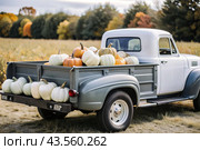 Autumn, autumn design. A large harvest of pumpkins on the back seat of a retro pickup truck, close-up. Стоковое AI-изображение, AI-художник Photojuli / Фотобанк Лори