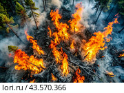 Danger. Forest fire. View from the plane. Bright flames. Take care of nature. Don't make bonfires in the woods. Стоковое AI-изображение, AI-художник Photojuli / Фотобанк Лори