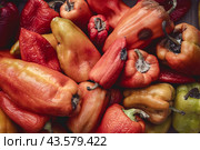 Rotting vegetables and food - Bulgarian sweet pepper background, which began to rot and deteriorate. the problem of keeping food fresh. Стоковое фото, фотограф Владимир Разгуляев / Фотобанк Лори