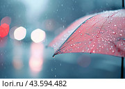 Rain Drops on Umbrella. Стоковое AI-изображение, AI-художник Юлия Гапеенко / Фотобанк Лори