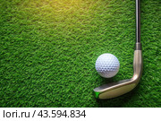 A banner with a view of a green lawn, on which lies a white ball and a metal golf club. An advertisement for a golf game at a country club. Free space for text. Стоковое AI-изображение, AI-художник Photojuli / Фотобанк Лори