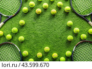 A yellow tennis ball and a tennis racket are lying on the lawn. A summer sport. Great tennis. Стоковое AI-изображение, AI-художник Photojuli / Фотобанк Лори