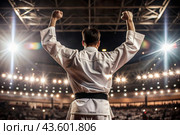 A karate athlete proudly raises his hands in the stadium in the light of spotlights and spotlights after becoming an Olympic champion. Стоковое AI-изображение, AI-художник Photojuli / Фотобанк Лори