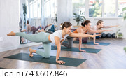Group of young women practicing Balancing Table restorative Pose or Dandayamana Bharmanasana during yoga workout on mats. Стоковое фото, фотограф Яков Филимонов / Фотобанк Лори