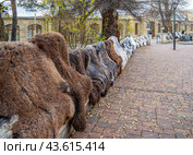 Продажа кавказских сувениров, парк города Кисловодск (2023 год). Редакционное фото, фотограф Вячеслав Палес / Фотобанк Лори
