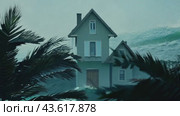Palm Trees Swaying Near a House During a Storm. Стоковое AI-видео, аниматор Данила Большаков / Фотобанк Лори
