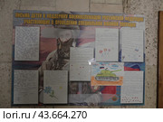 Детские письма солдатам на фрон СВО (2024 год). Редакционное фото, фотограф Дмитрий Неумоин / Фотобанк Лори