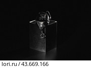 Эго. Стоковое фото, фотограф Елена Захарова / Фотобанк Лори