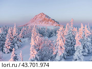 Откликной гребень. Стоковое фото, фотограф Артур Ибрагимов / Фотобанк Лори