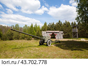 57-мм противотанковая пушка образца 1941 года (ЗИС-2) . Комплекс "Партизанская деревня". д. Рабовичи. Славгородский район. Могилевская область. Беларусь (2024 год). Редакционное фото, фотограф Сергей Афанасьев / Фотобанк Лори
