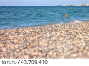 Крым, Евпатория, курорт, Чёрное море, пляж, буй, буёк, волны, галька (2024 год). Стоковое фото, фотограф Андрей Макаренко / Фотобанк Лори