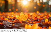 orange fall leaves in park, sunny autumn natural background. Стоковое AI-изображение, AI-художник Ирина Михайличенко / Фотобанк Лори