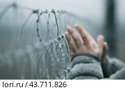 Hands Holding Barbed Wire Fence. Стоковое AI-изображение, AI-художник Юлия Гапеенко / Фотобанк Лори
