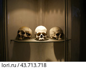 Костница. Кутна гора (2008 год). Редакционное фото, фотограф Сергей Данилов / Фотобанк Лори