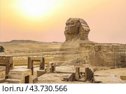 Landscape with Egyptian pyramids, Great Sphinx and silhouettes of palm trees at sunset in Nile valley. Ancient symbols and landmarks of Egypt for your travel concept to Africa in golden sunlight. (2021 год). Стоковое фото, фотограф Павел Муравьев / Фотобанк Лори
