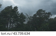 A bright and powerful lightning bolt is shining dramatically through the clouds over a lush forest. Стоковое AI-видео, аниматор Юрий Поздников / Фотобанк Лори