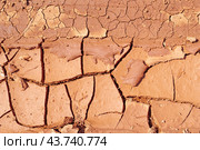 Текстура растрескавшейся земли, освещенной солнцем. Sunlit Cracked Earth Texture. Стоковое фото, фотограф Татьяна Д / Фотобанк Лори