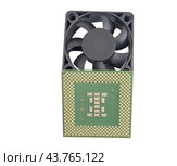 Современный микропроцессор и вентилятор на белом фоне. Modern CPU and fan on white background. Стоковое фото, фотограф Татьяна Д / Фотобанк Лори