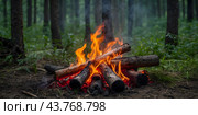 A fire in the forest.The beginning of a fire in the forest. Стоковое AI-изображение, AI-художник Александр Поташев / Фотобанк Лори