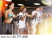 Group of people of different ages train on elliptical trainers steppers. Стоковое фото, фотограф Яков Филимонов / Фотобанк Лори