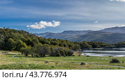 The beautiful landscape of Patagonia. Paths wind through a green meadow. There is a forest growing on the shore of the lake. The Andes mountain range against a blue sky and clouds. Lapataia Bay. Стоковое фото, фотограф Вера Ивановна Кубарева / Фотобанк Лори