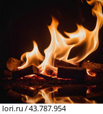 Dancing flames. Tongues of flame. Burning fire, bonfire. Fire is intense process of oxidation combustion, radiation visible range and release of thermal energy. Combination of hot gases. AI generative. Стоковое AI-изображение, AI-художник Юлия Петровская / Фотобанк Лори