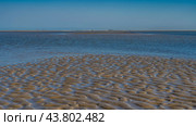 The seabed was exposed at low tide. A bizarre pattern of wavy sandy ridges and puddles of water formed in shallow water. The ocean is far away. Tiny silhouettes of people on the coast. Clear blue sky. Стоковое фото, фотограф Вера Ивановна Кубарева / Фотобанк Лори
