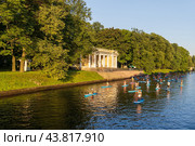 Сапсерфинг, раннее утро, Санкт-Петербург (2024 год). Редакционное фото, фотограф Головкова Елена / Фотобанк Лори