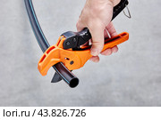 Ratcheting plastic pipe and tube cutter for one hand operation. Стоковое фото, фотограф Владимир Григорьев / Фотобанк Лори