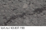 Асфальт, щебеночный-мастичный слой, трасса, дорога asphalt, crushed stone-mastic layer, highway, road. Стоковое видео, видеограф Опока Алексей / Фотобанк Лори