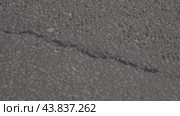 New asphalt, crushed stone-mastic layer, highway, road новый асфальт, щебеночный-мастичный слой, трасса, дорога. Стоковое видео, видеограф Опока Алексей / Фотобанк Лори