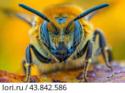 Macro photography of a bumblebee resting on a vibrant leaf. Стоковое AI-изображение, AI-художник Иван Рябоконь / Фотобанк Лори