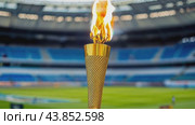Olympic torch at the stadium. Стоковое AI-видео, аниматор Юрий Поздников / Фотобанк Лори
