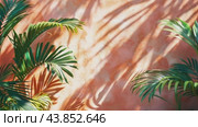 Animation of palm leaves on a pink background. Стоковое AI-видео, аниматор Юрий Поздников / Фотобанк Лори