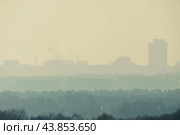 Туманный вид на город с лесом на переднем плане (2021 год). Стоковое фото, фотограф Александр К / Фотобанк Лори